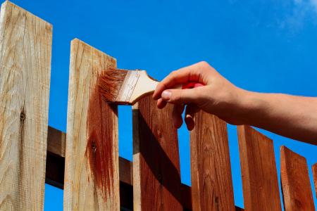 Fence Painting & Staining